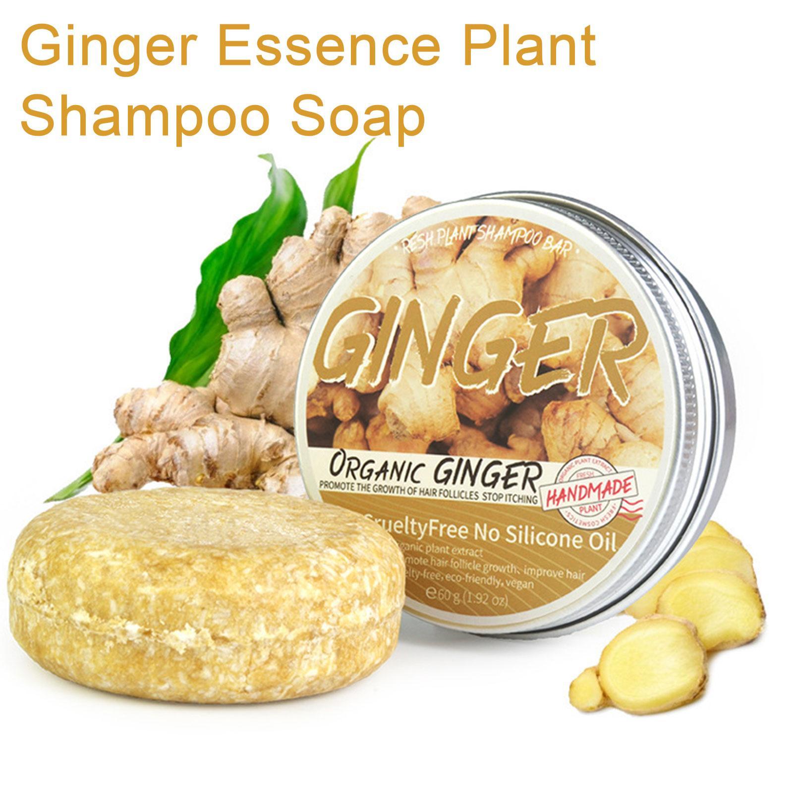 Ginger Polygonum Soap Shampoo  - Hair Care Organic review and price